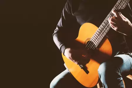رنگبندی و تعمیر گیتار آدمیرا paloma